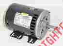 5k49mn4706z Hd56fr651 Carrier Fan Motor 208-230 460v 3 Ph 1725 Rpm Marathon 0822529431307