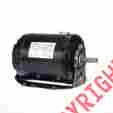Arb2054l4 Furnace Motor Century 1 2 Hp 1725 Rpm 56 115 208-230v Belt Drive Teao Blower 663001320241