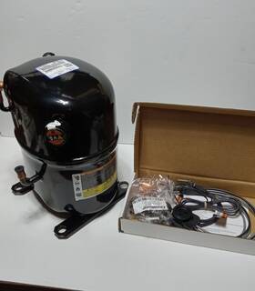 Cr20k6e-pfv-875 Copeland Cr20k6epfv875 - 208/230-1ph R22 20 000btu New