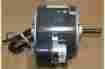 K55hxdrr-493 698152 Us Motors Motor 1 4hp K55hxdrr493 Hz50 60 Rpm 1350 1625 Amp 80 95