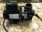 K55mykrr-9756 2100 Emerson 1 15 Hp Aquarium Pump Amp Master Motor 99