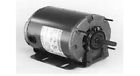 5kh39qn9631t Mh131 Marathon H131 56 Frame