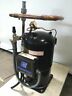 Zf33k4e-twd-551 Zf33k4etwd551 Copeland Scroll Refrigeration Compressor No Refrigerant