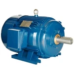 PE215T-10-2 Hp Electric Motor 3600 Phase Tefc North American. Fixed Price $1063.75.