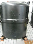 Bristol L1NB262EBCB BM702049 Thermally Protected 1/2 Hp Hermetic Compressor. Fixed Price $249.99.