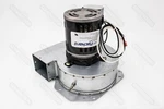 Packard 66003 Draft Inducer Blower Motor Goodman Amana 11009003 098862-1. Fixed Price $162.99.