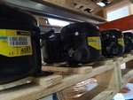 230V 50HZ 60HZ Compressor Secop TL2.5G 102G4251 (102G4250) R134A Refrigeration. Fixed Price $195.43.