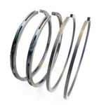 Piston Ring Set Std Carrier 5H40-1071 5H40-1091 5H40-481 5H60 5H80 Carlyle. Fixed Price $22.94.