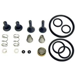 Cps Products TRS21 Valve Rebuild Kit. Fixed Price $91.95.