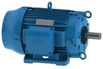 Weg 01018ET3ECT215TF1-W2 W22 Nema Premium Tefc Cooling Tower Definite Purp Motor. Fixed Price $1599.99.