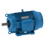 00312ET3ECT213T-W22 6EGP9, Hp, 1,175 Rpm, 213T, Cooling Tower Motor 230/460V. Fixed Price $600.00.