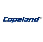 Copeland Valve Kit Flanged Union Forged Brass 2-1/8" Sweat 4 Bolt. Fixed Price $805.75.