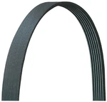 Dayco 5060500DR Serpentine Belt Select 79-23 Ford Lincoln Mercury Models. Fixed Price $22.99.