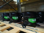 115V Compressor Secop TFS4.5CLX 102U2103 Identical As Danfoss R404A/R507. Fixed Price $373.65.