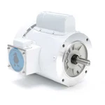 Leeson 114311.00 Electric Motor 1/3 Hp 1725 Rpm 1-PH 115/230 Volt 56C C6C17WC2G. Fixed Price $515.00.