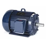 Marathon 254TTFL16026 Three-phase General Purpose Motor, 15 Hp, Frame,. Fixed Price $2100.99.