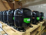 115V Compressor Secop Danfoss SC10CL 104L1503 R404A/R507 Refrigeration. Fixed Price $331.50.